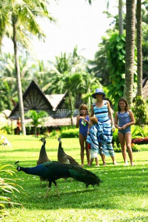 Club Andaman Beach Resort 31